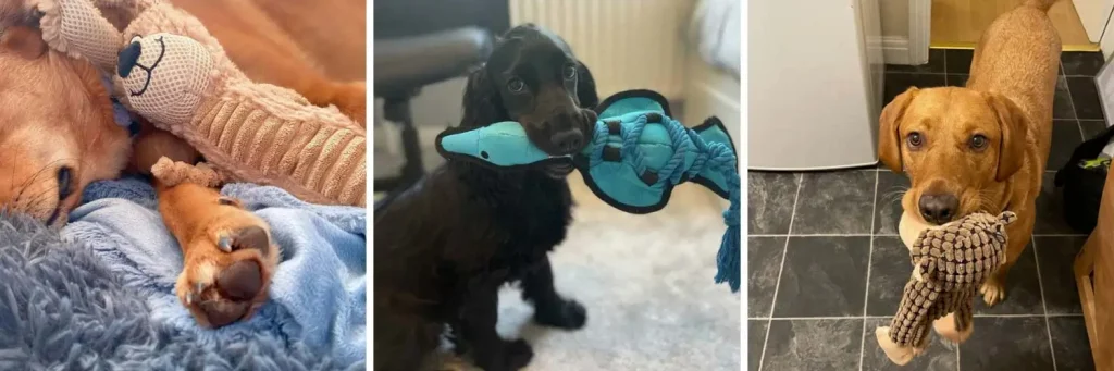 3 photos of dogs enjoying their plush toys from Woofbox UK