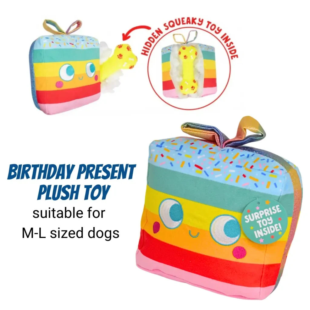 Large Birthday Box present 2025 Surprise Toy