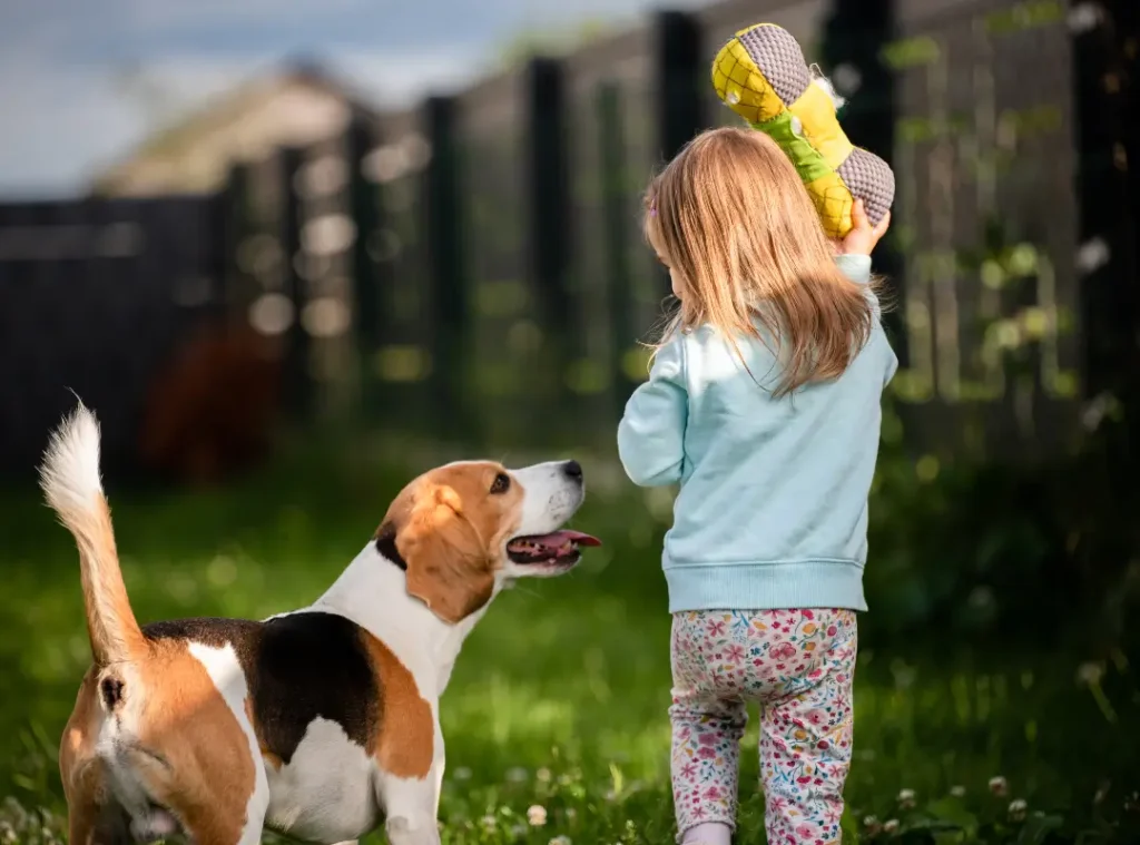 Get the whole family involved with training your deaf dog