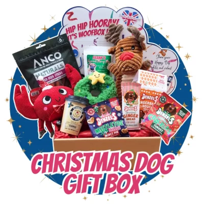 Christmas Dog Gift Box