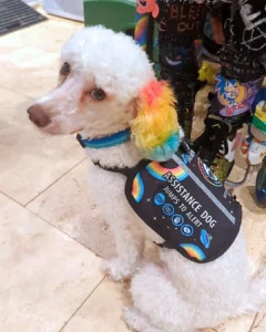 Melody Woofbox Pupstar June 2026